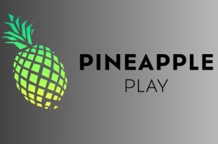 Pineapple Play
